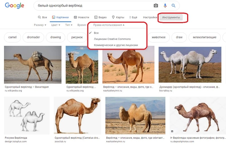 картинки google
